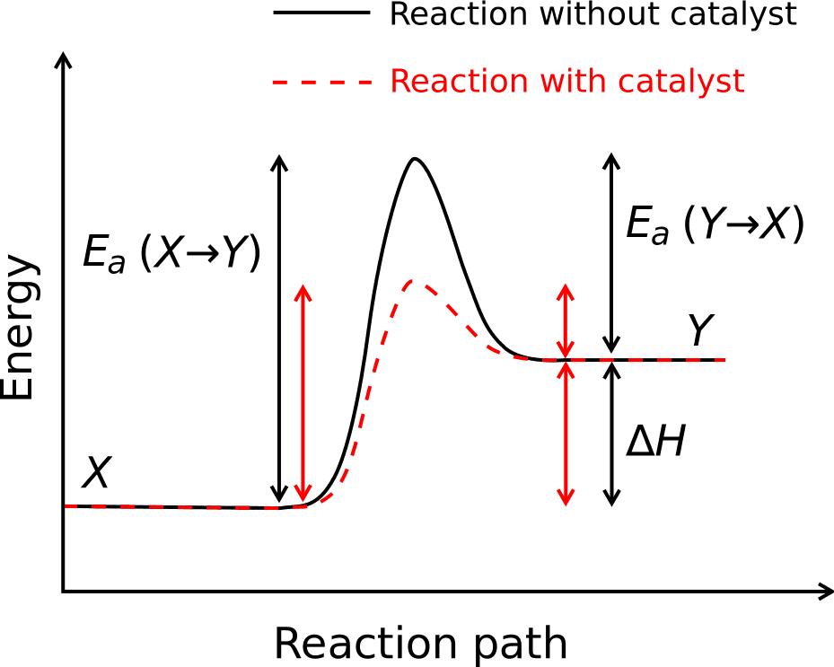 Activation Energy and Productivity